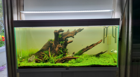 aquarium CIANO 240L