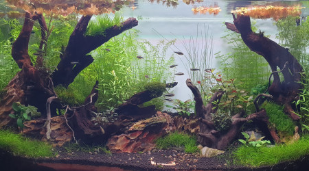 Trois mois d'existence