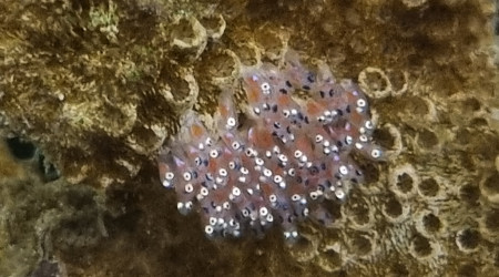 10ème jour ça se précise !