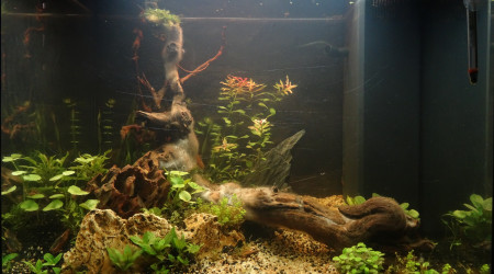 Sanctuaire  : Jour 20