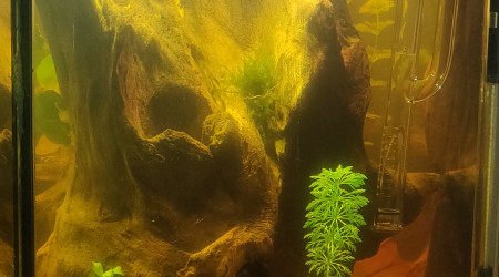 On se rapproche de l'objectif !