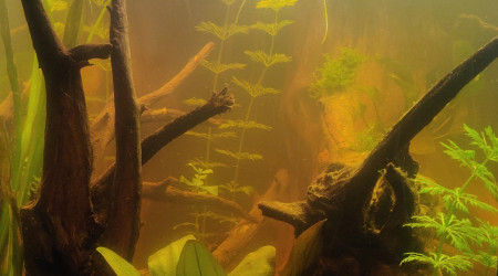 On se rapproche de l'objectif !