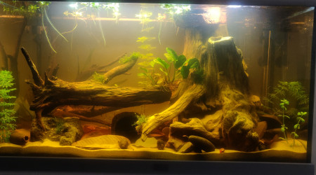 On se rapproche de l'objectif !