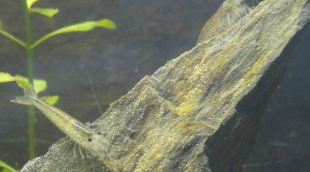 Sanctuaire  : Jour 22