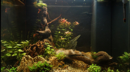 Sanctuaire  : Jour 22