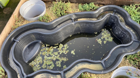 11/2022 mise en eau du bassin