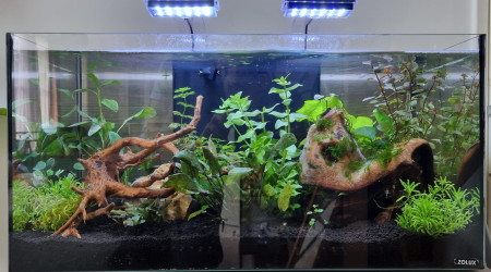 aquarium Zoolux IDRO 60 54L