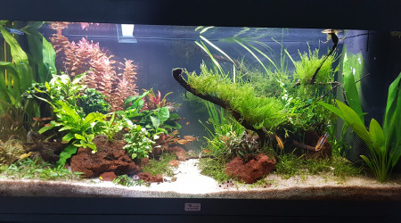 Entretien du 10/05/2023