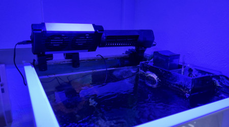 Préparation du plan Canicule 2023