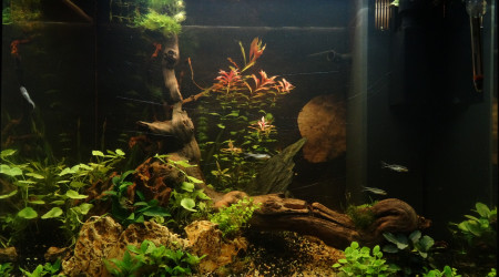 Sanctuaire, un mois.