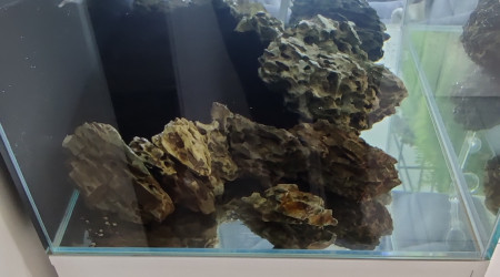 Harscape collé à la cyano + serviette papier marron