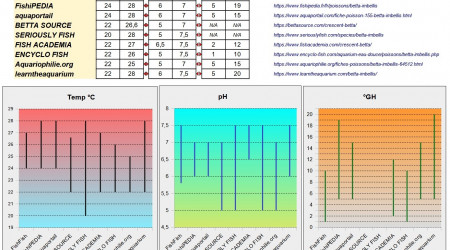 Fiche Betta Imbellis