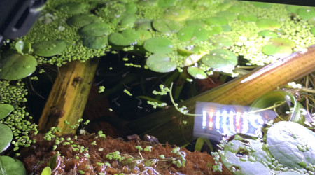 Mise à jour du 15/05/23