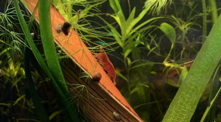 Mise à jour du 15/05/23