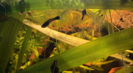 Mise à jour du 15/05/23