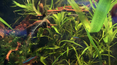 Mise à jour du 15/05/23