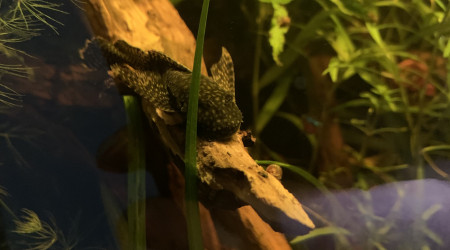 Mise à jour du 15/05/23