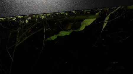 Mise à jour du 15/05/23