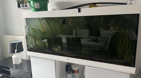 aquarium Juwel 450l