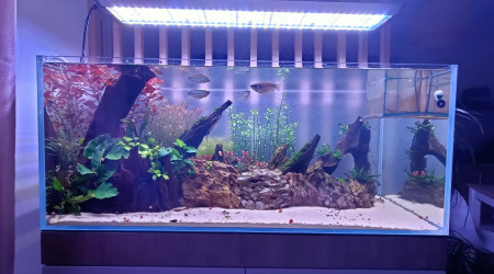 1 mois après la mise en eau