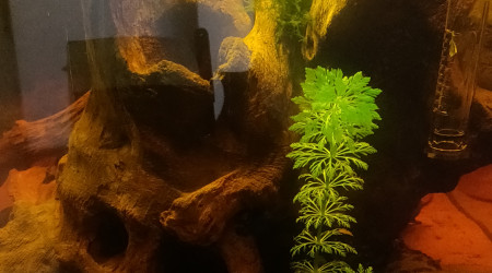 Moultes choses ce sont passées en 1 mois