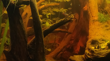 Moultes choses ce sont passées en 1 mois