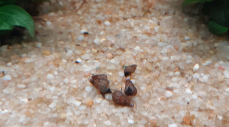 J'en avais pas, donc j'en ais mis :) Au boulot petits soldats !!!