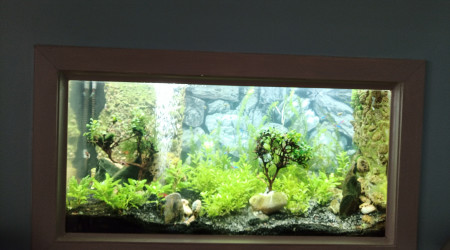 aquarium Encastré dans cloison 200l