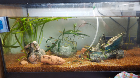 aquarium Aquarium 60L