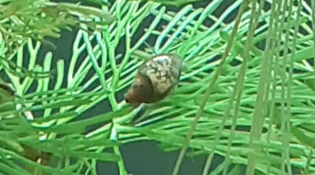 Moi qui pensais ne pas avoir eu de passager clandestin...