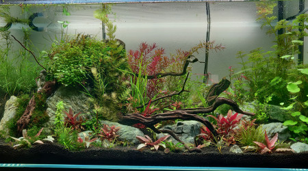 Aquael Ultra Clear 200L