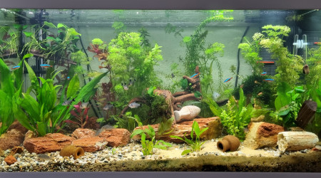 aquarium LE CANYON  OCCITAN