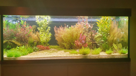 Quelques nouvelles !