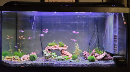 aquarium 90l