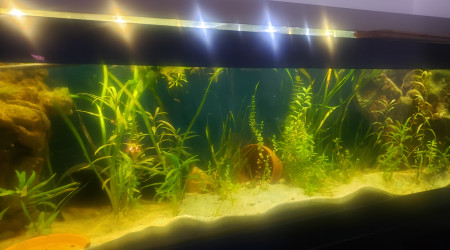 aquarium 560 litres