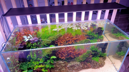 2 mois après la mise en eau