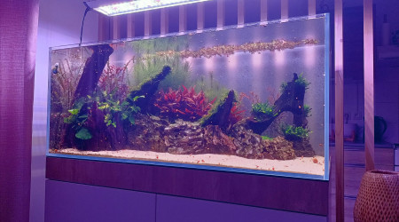 2 mois après la mise en eau