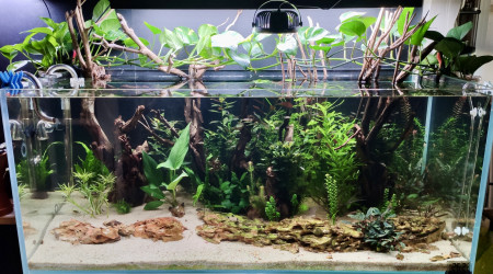 aquarium Communautaire V2.0