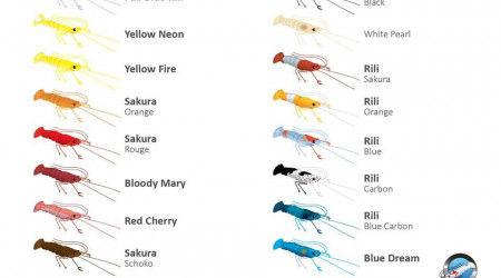 Crevettes Yellow Neon