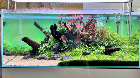 aquarium 300L
