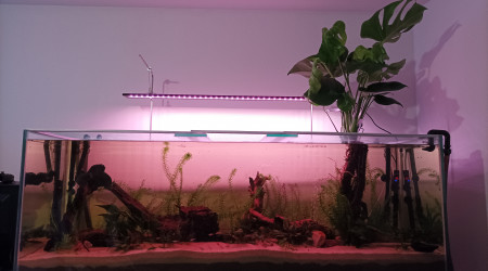 aquarium 500L