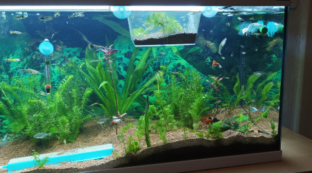 vu que la flaure ce sent mieux!