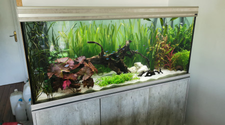 aquarium Aquarium 350l