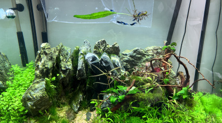 aquarium Kert 200