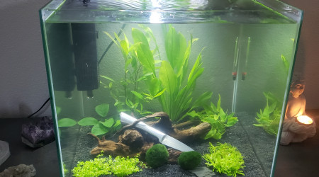 mon démarrage - bac 54L