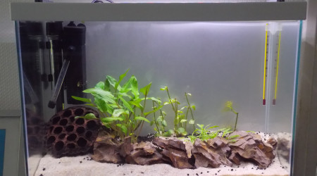 aquarium Mini Aquarium