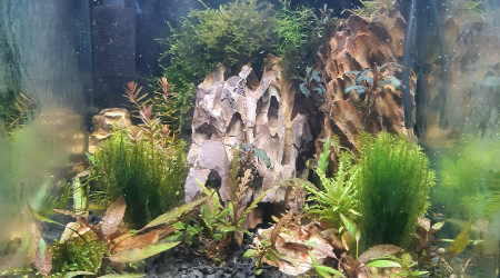 aquarium nano30