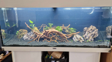 aquarium Rio 240L