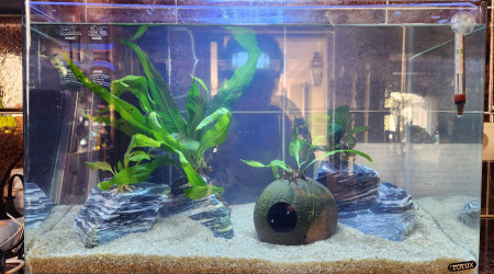 Aqurium version 2023