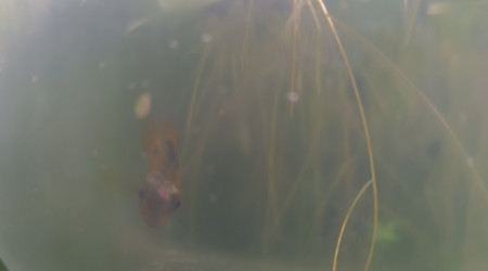 Retour des vacances et...gros bobo!